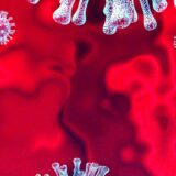 3D rendering of COVID-19 virus on a red background